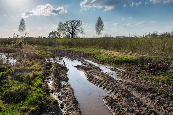 Trekker Tracks Zeer Natte Grond — Stockfoto