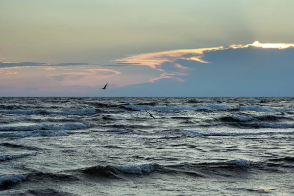 Kvällen Östersjön Liepaja Lettland — Stockfoto