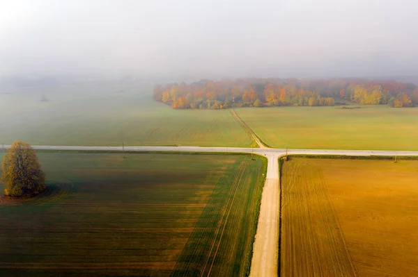 Осінній Ранковий Туман Зелених Полях — стокове фото