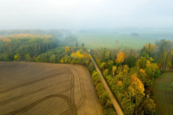 Jesienny Poranek Mgła Zielone Pola — Zdjęcie stockowe