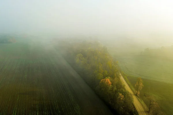 Podzimní Ranní Mlha Zeleném Poli — Stock fotografie