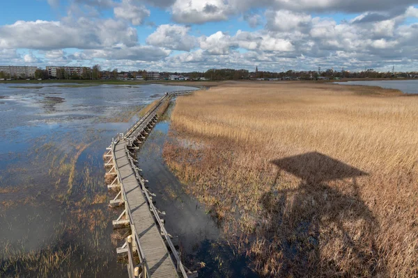 Torre Observación Aves Pasarela Lago Liepaja Letonia — Foto de Stock