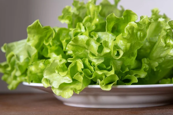 Insalata Lattuga Verde Fresca Sul Piatto — Foto Stock