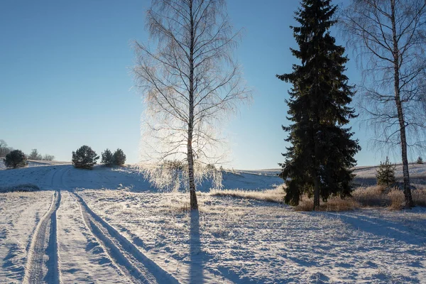 Scenic View Snowy Winter Landscape Trees — Stock Photo, Image