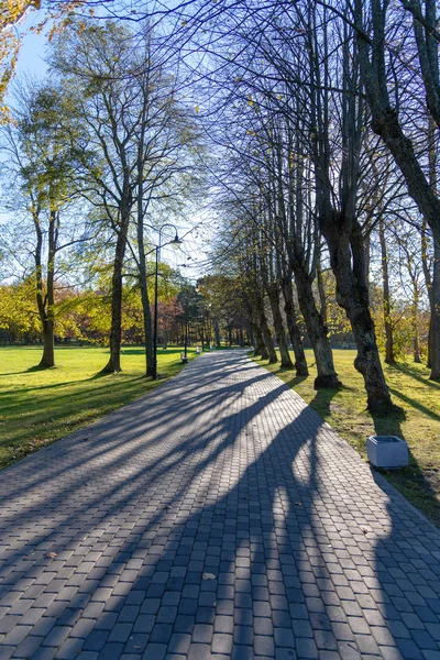 Kaldırım Yeşil Ağaçlar Ile Parkta Doğal Görünümünü — Stok fotoğraf