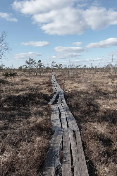 沼泽中的木制观光路径 — 图库照片