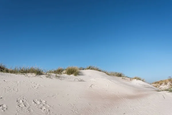 Dunas Areia Por Mar Báltico Liepaja Letónia — Fotografia de Stock