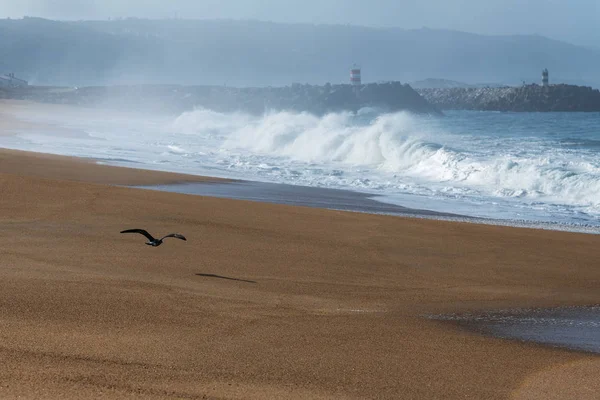 ナザレ ポルトガルの Spashing 大西洋の海の波 — ストック写真