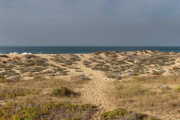 Wild Gras Zand Door Atlantische Oceaan Nazare Portugal — Stockfoto