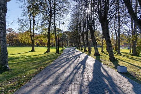 Schilderachtig Uitzicht Van Bestrating Park Met Groene Bomen — Stockfoto