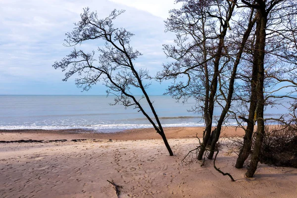 Calme Journée Automne Par Mer Baltique — Photo