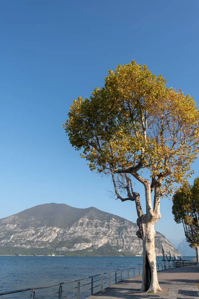 Iseo Partján Város Iseo Olaszország — Stock Fotó