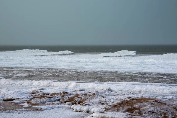 Côte Baltique Glacée Journée Hiver Grise — Photo