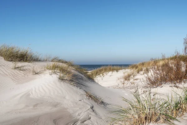 リエパーヤ ラトビアのバルト海で砂砂丘 — ストック写真