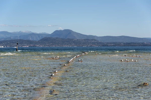 Vacker Utsikt Över Vackra Gardasjön Italien — Stockfoto