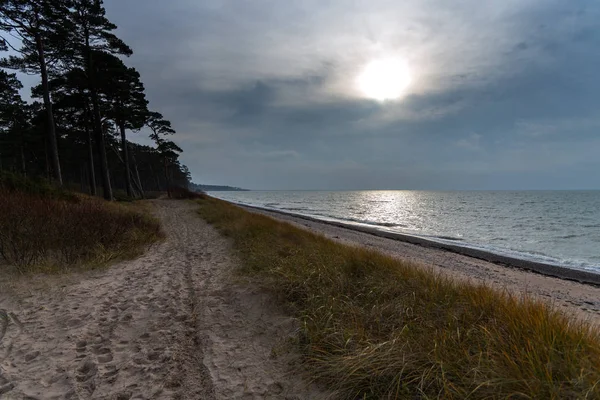 Costa Del Mar Baltico Autunno Giorno — Foto Stock