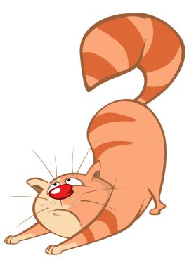 Beyaz arka plan üzerinde izole şirin kedi çizgi film karakteri