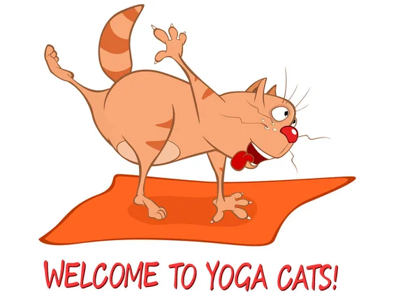 Vektör Illustration Bir Yoga Cat Karikatür Karakter — Stok Vektör