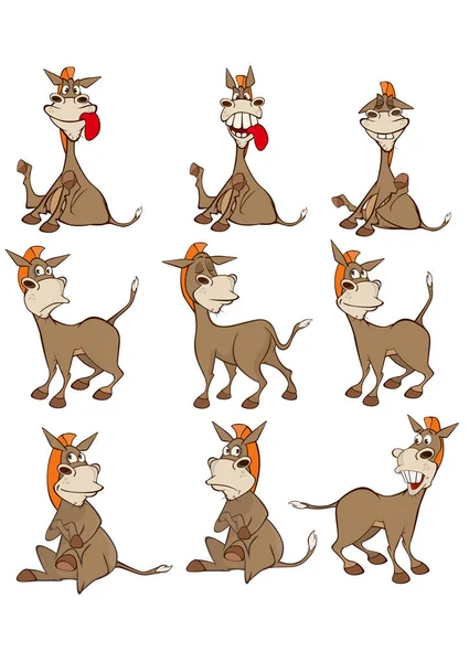 Funny burros — Stock Vector