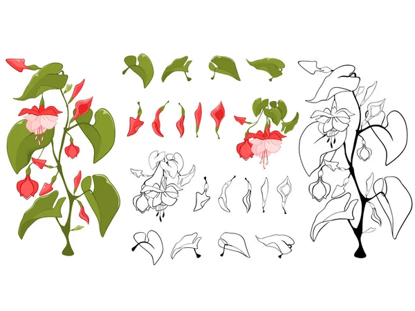 Ілюстрація Набору Зелених Листя Квітів Набір Розмальовок — стоковий вектор