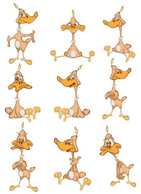 Sizin için Sevimli Çizgi Film Karakteri Kuşunun Vektör İllüstrasyonu Tasarım ve Bilgisayar Oyunu.