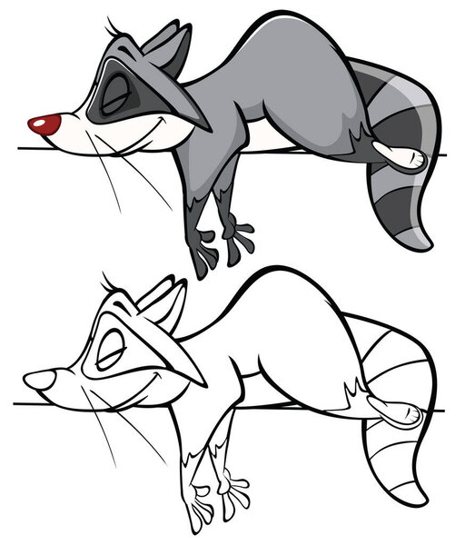 Векторный показ милого персонажа мультфильма "Енот" для вас. Набор контуров раскраски 
