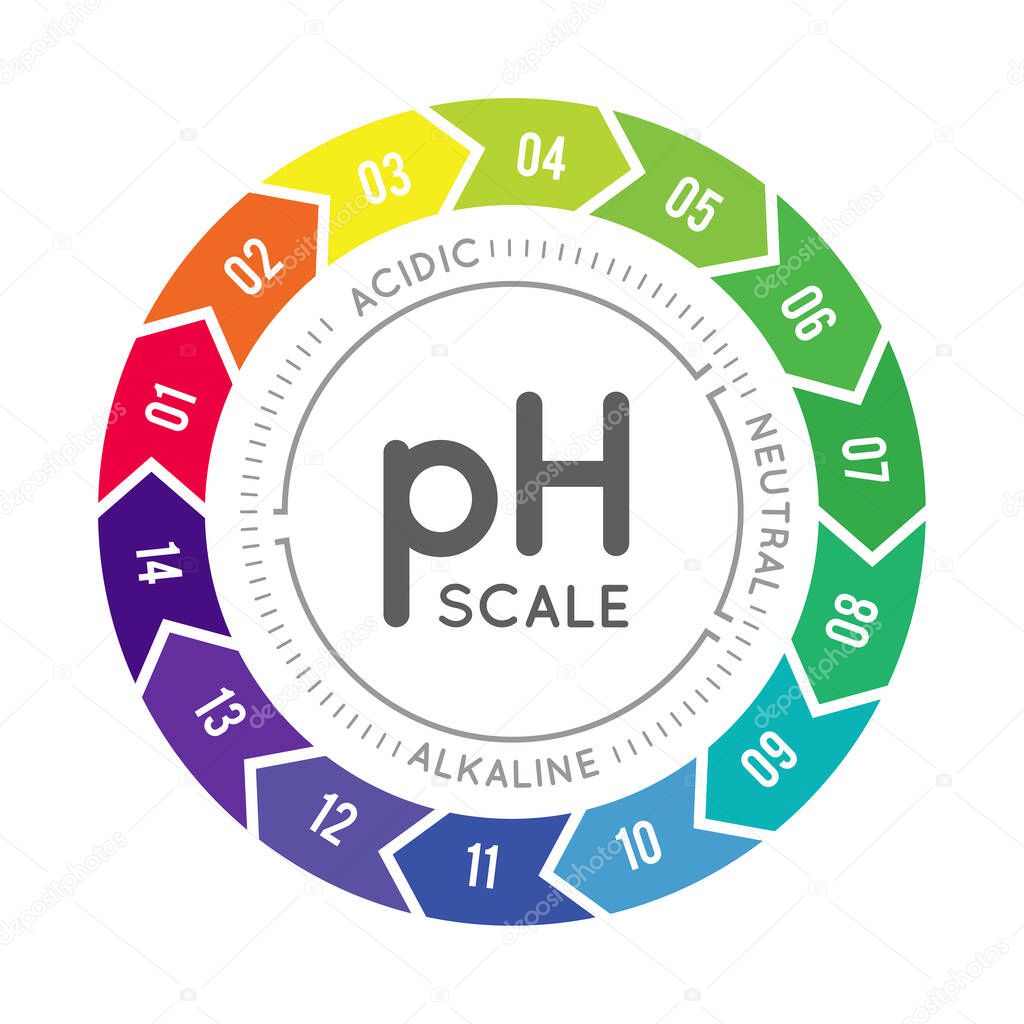 pH meter for measuring acid alkaline balance. infographics in the circle form with pH scale on white background