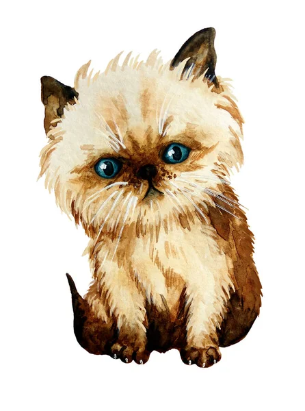 Komik yavru kedi sulu boya rengi noktası