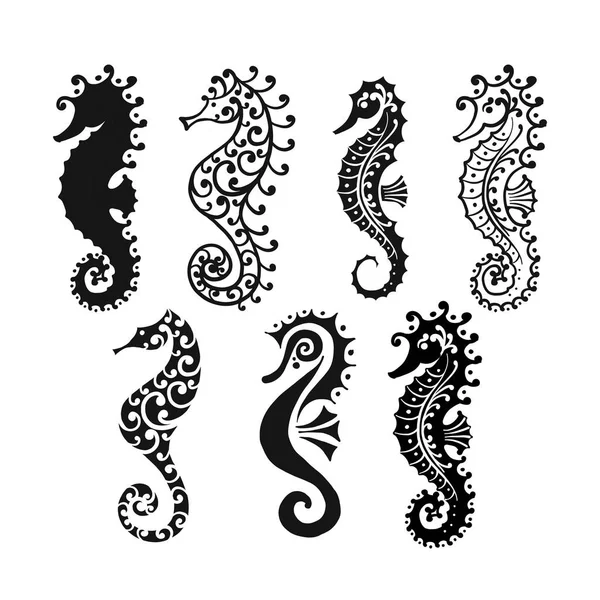 Seahorse kolekce, Skica pro návrh — Stockový vektor