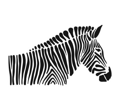 Zebra, tasarımınız için kroki