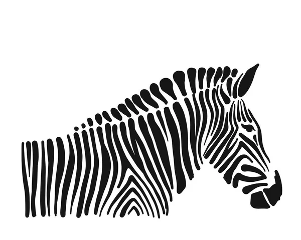 Zebra, tasarımınız için kroki