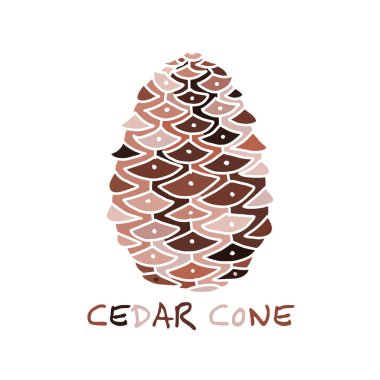 Sedir koni, tasarımınız için kroki