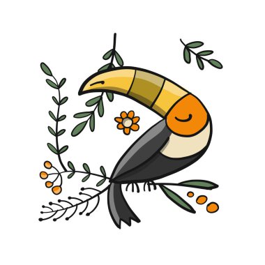 Tukan, tasarımınız için tropik kuş cenneti