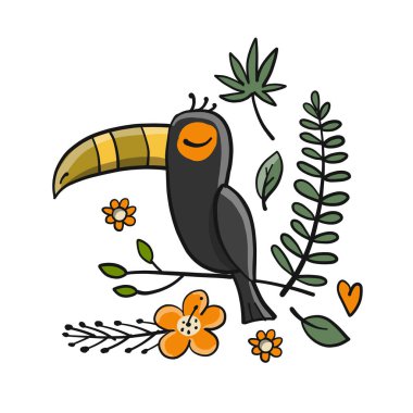 Tukan, tasarımınız için tropik kuş cenneti
