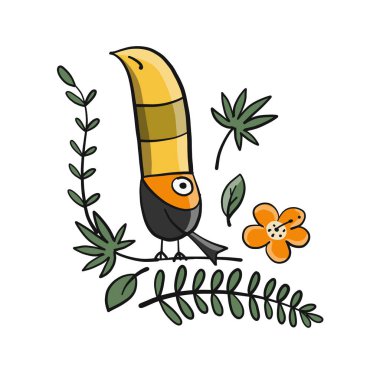 Tukan, tasarımınız için tropik kuş cenneti