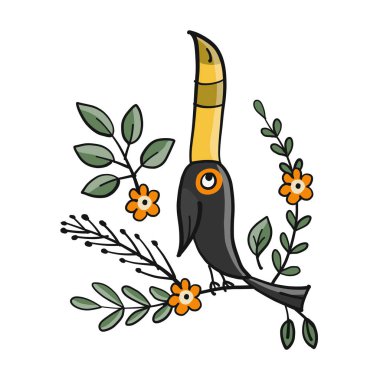 Tukan, tasarımınız için tropik kuş cenneti