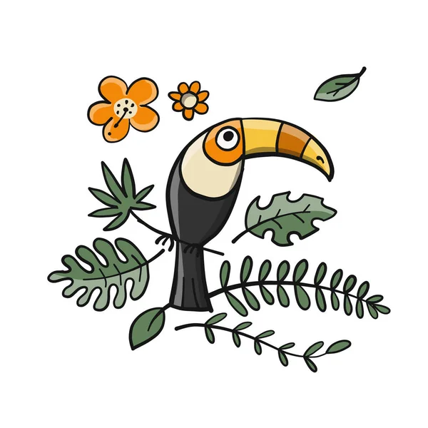 巨嘴鸟, 天堂热带鸟为您设计 — 图库矢量图片