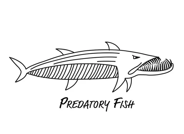 Barracuda poisson pour votre conception — Image vectorielle