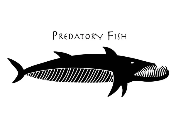 Barracuda poisson pour votre conception — Image vectorielle