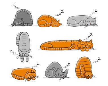 Kediler uyuma, Tasarımlarınız için kroki