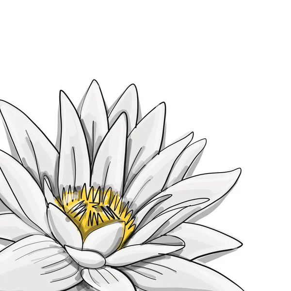 Lotus, fleur d'eau de lys, croquis pour votre design — Image vectorielle