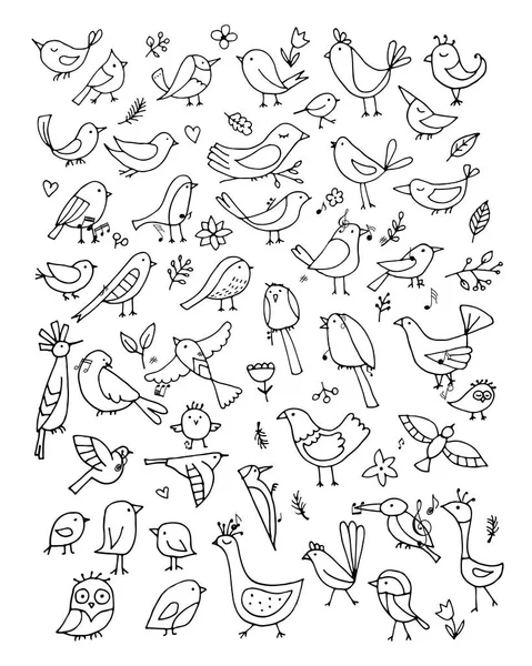 Collection Oiseaux Croquis Pour Votre Design Illustration Vectorielle — Image vectorielle