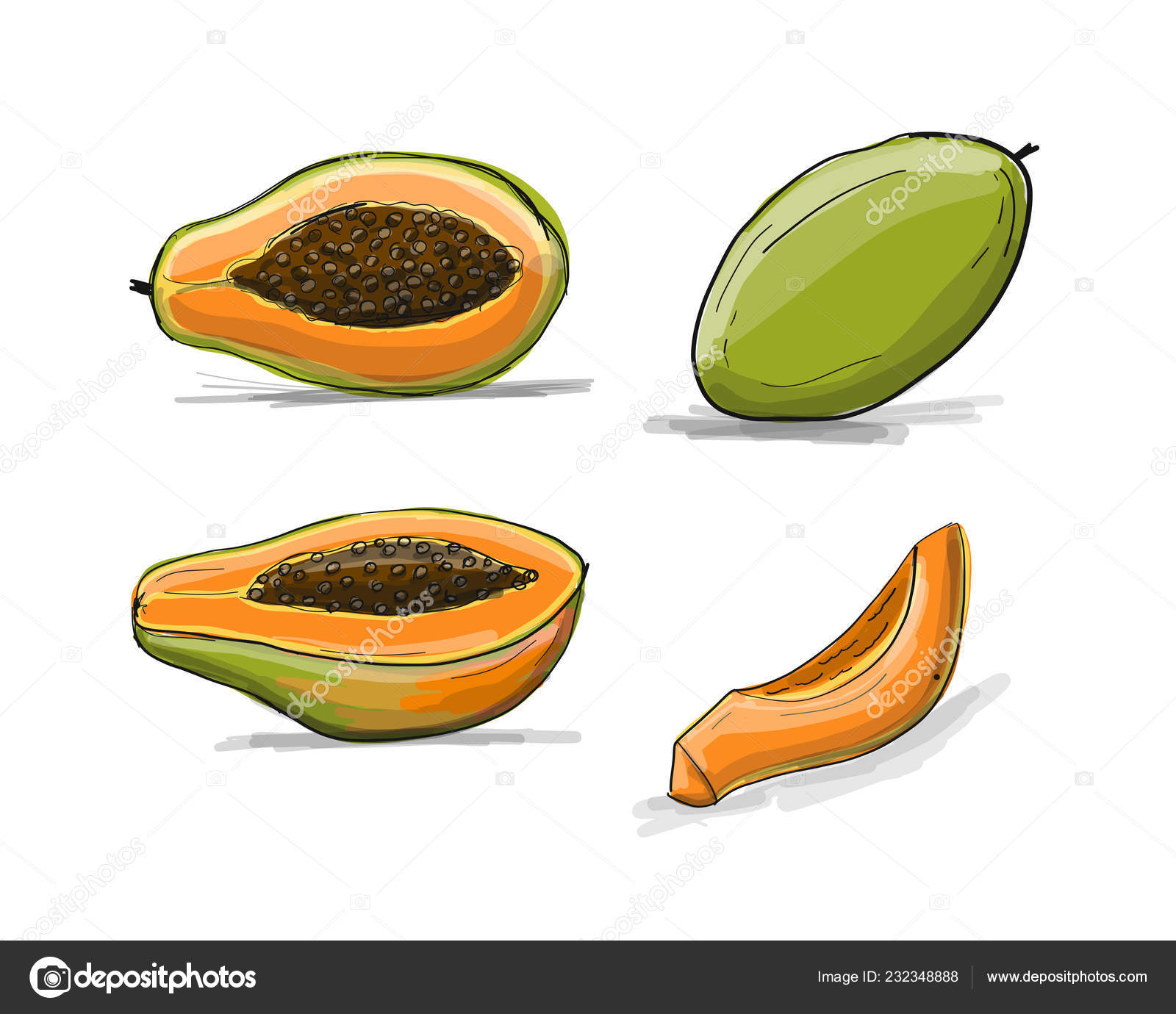 Papaya, sketch for your design Stock Illustration by ©Kudryashka 232348888