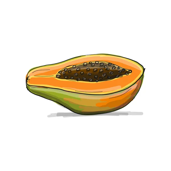 Papaya, schets voor uw ontwerp — Stockvector