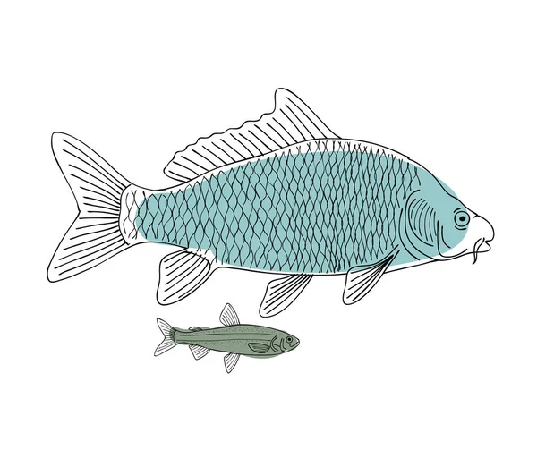 Pescado, boceto para tu diseño — Vector de stock