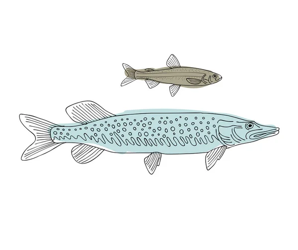 Fisch, Skizze für Ihr Design — Stockvektor