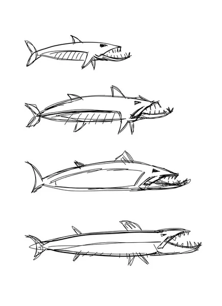 Barracuda Pesce Vostro Disegno Illustrazione Vettoriale — Vettoriale Stock
