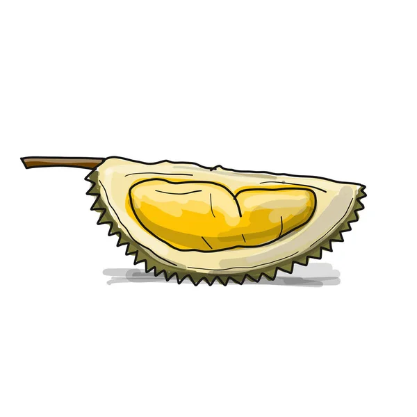 Durian, sketch for your design — Stock Vector