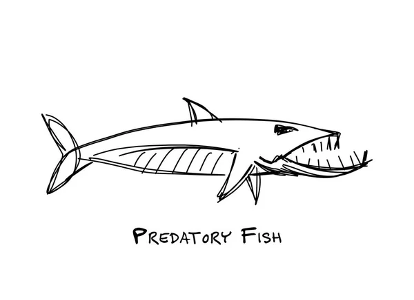 Barracuda poisson pour votre conception — Image vectorielle