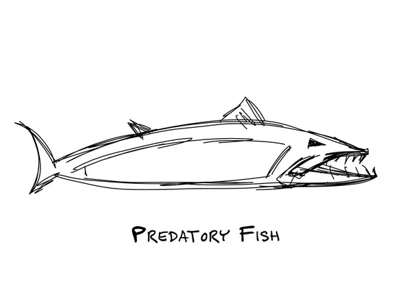 Barracuda pesce per il vostro disegno — Vettoriale Stock